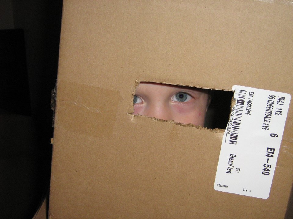 IMG 1399