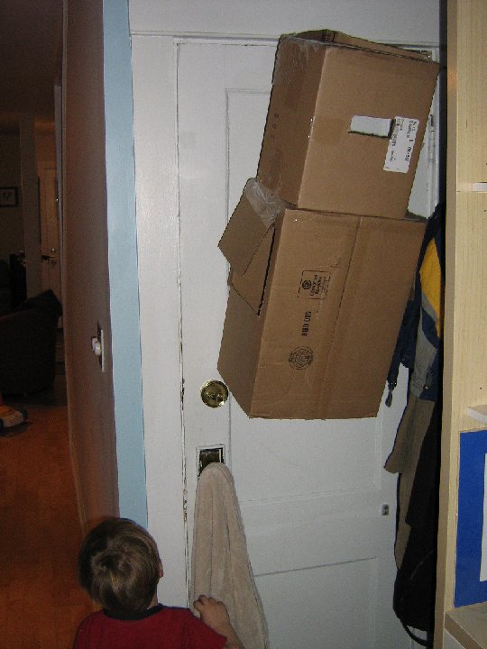 IMG 1407