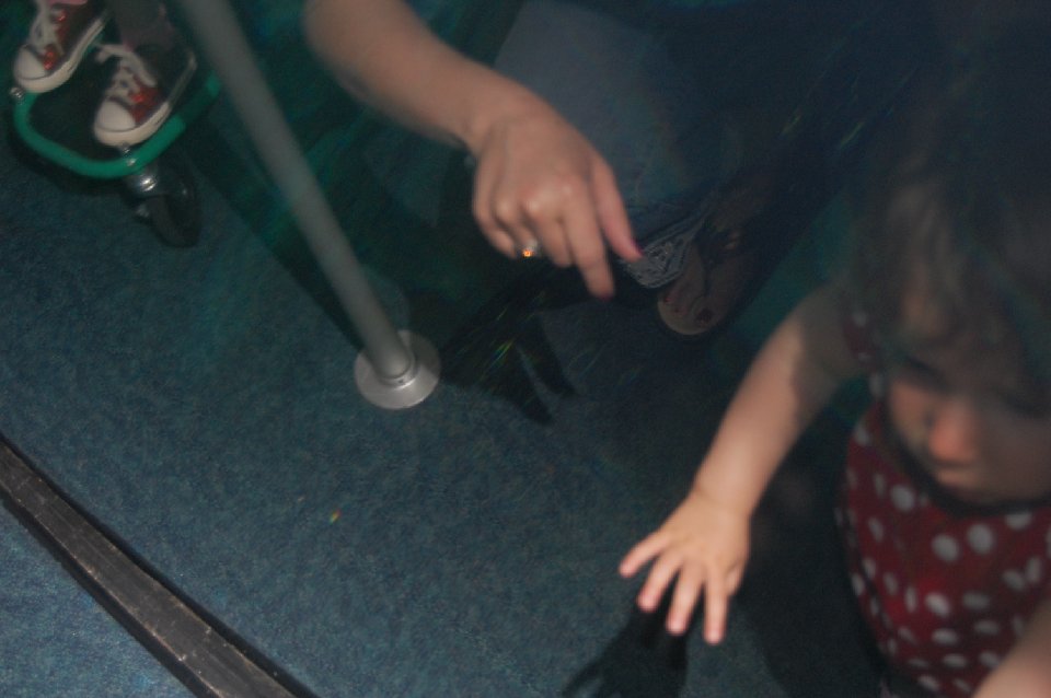 DSC 0557
