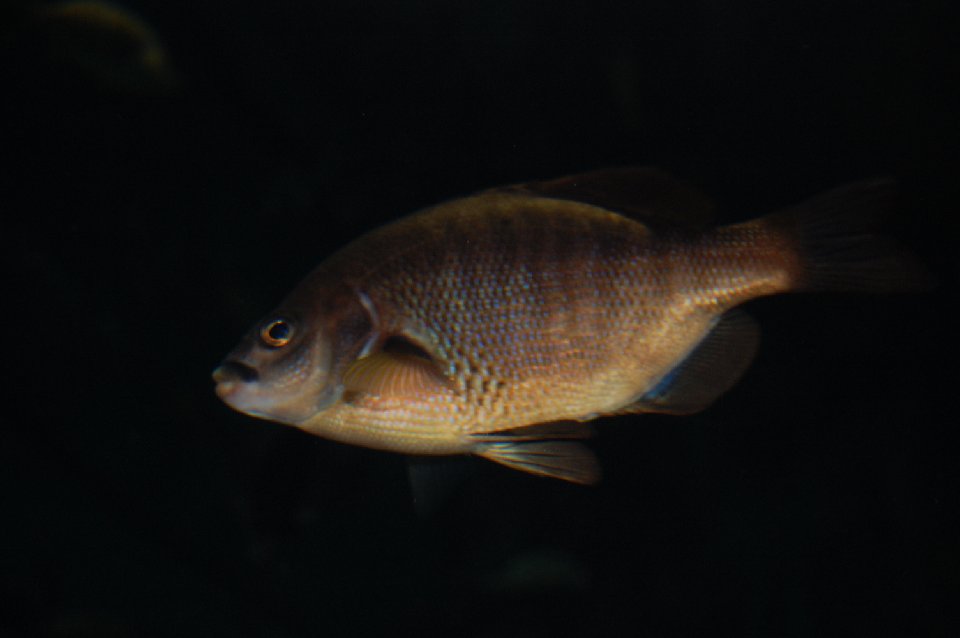 DSC 0572