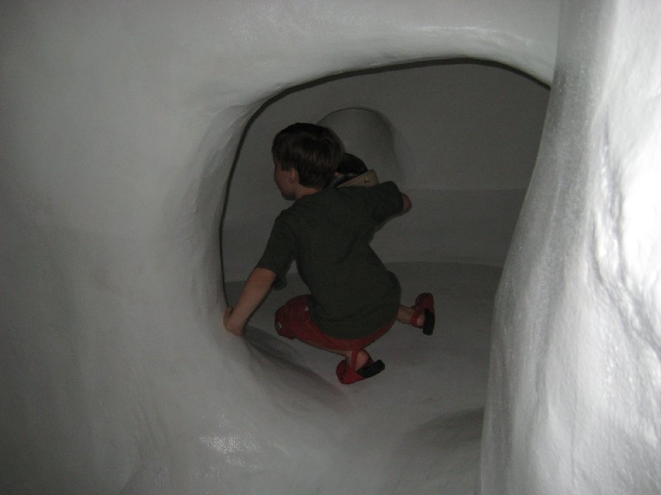 IMG 2270