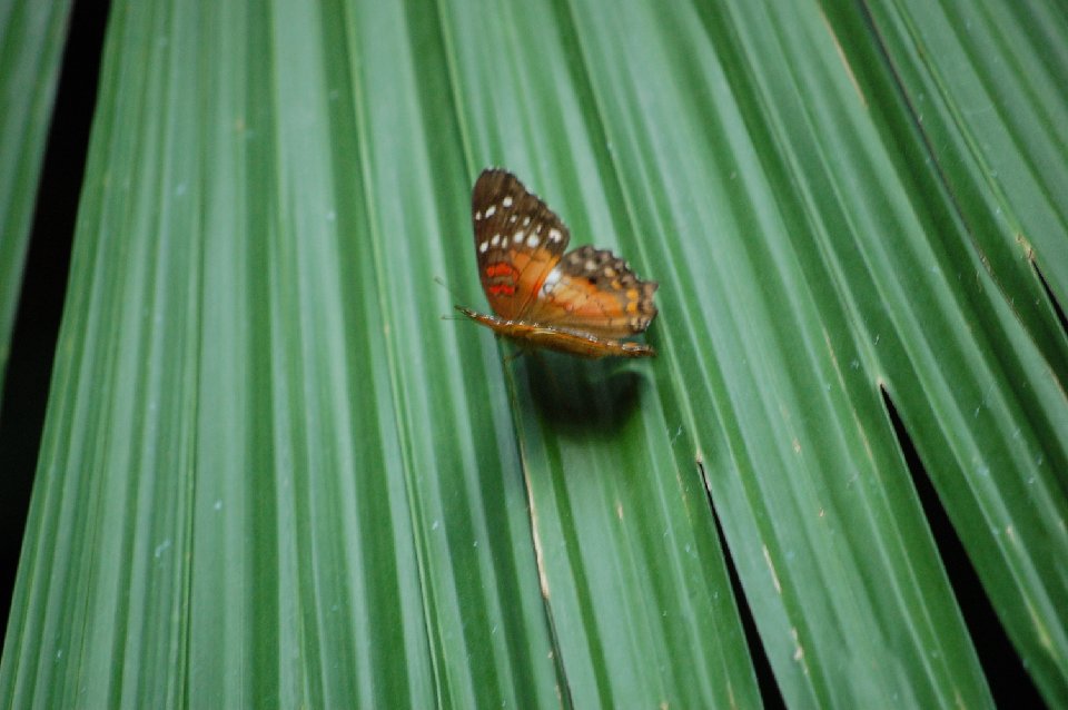 DSC 0477