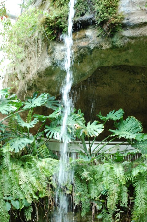 DSC 0478