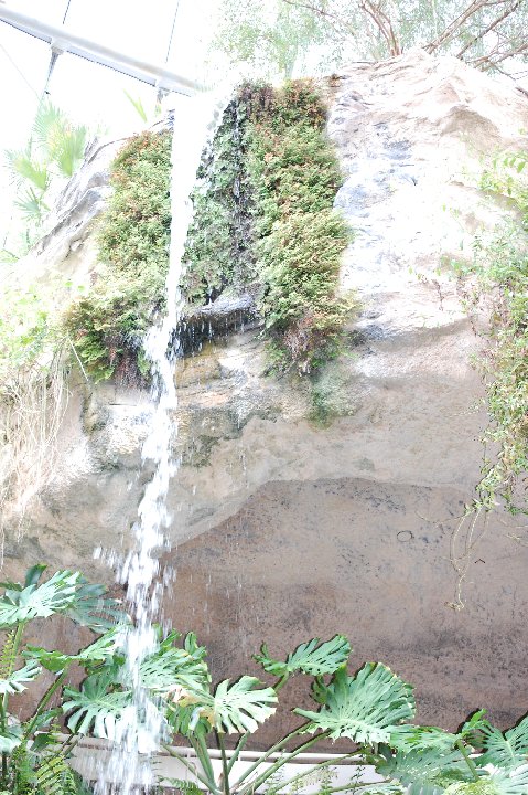 DSC 0479