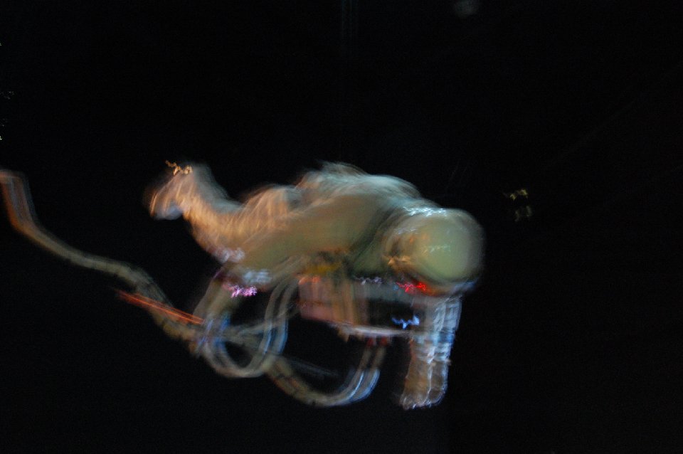 DSC 0510
