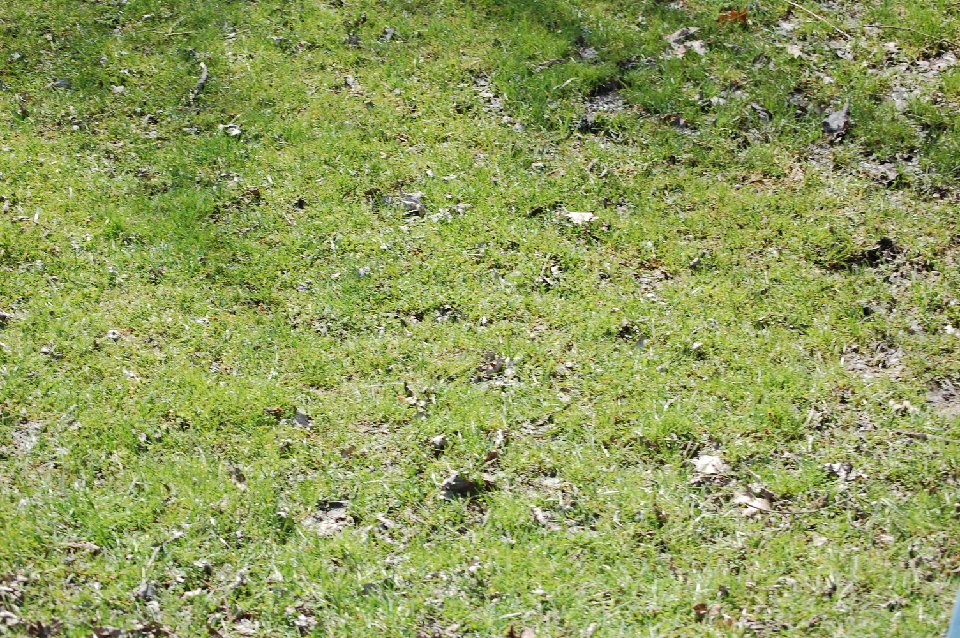 DSC 0466