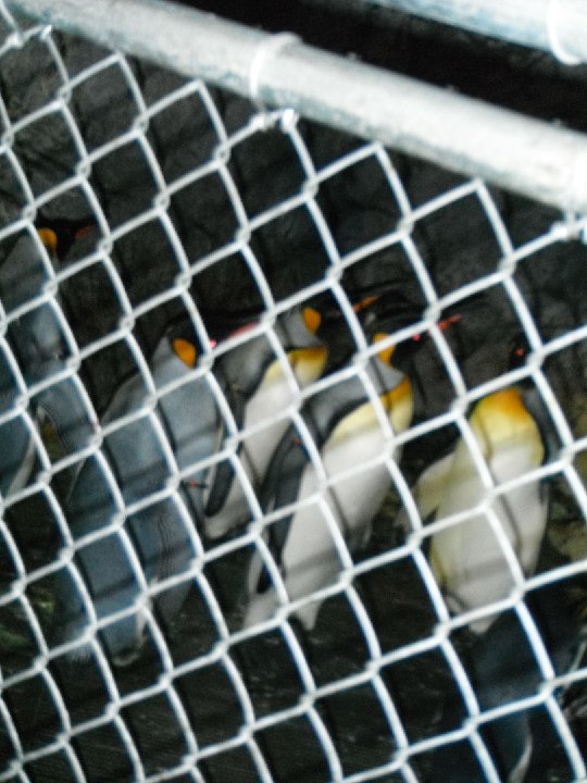 DSCF0151
