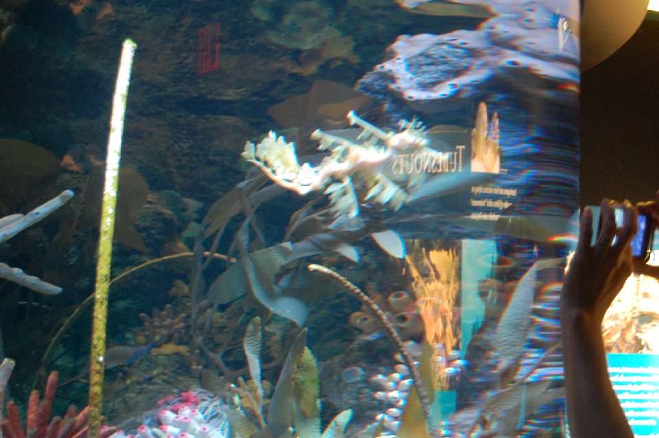 DSC 0295