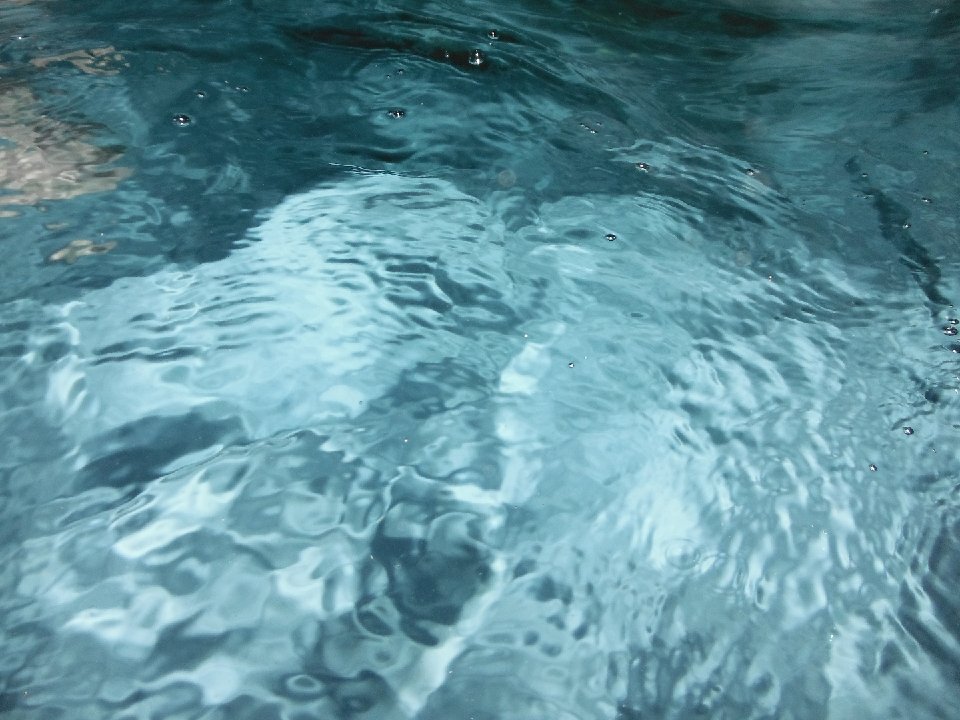 DSCF0009