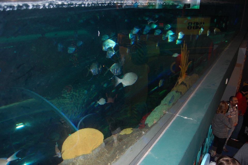 DSC 0081