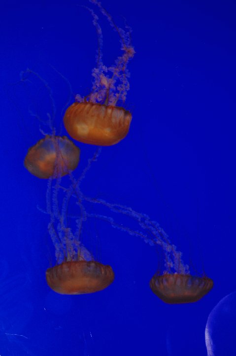 DSC 0113