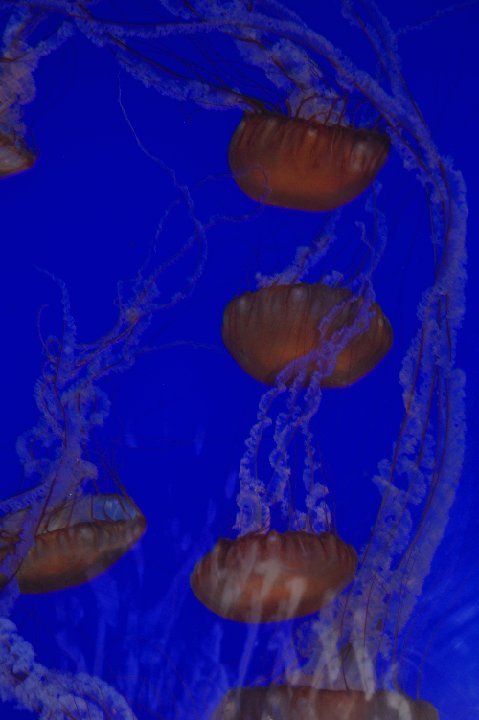 DSC 0117