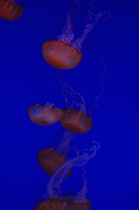 DSC 0119