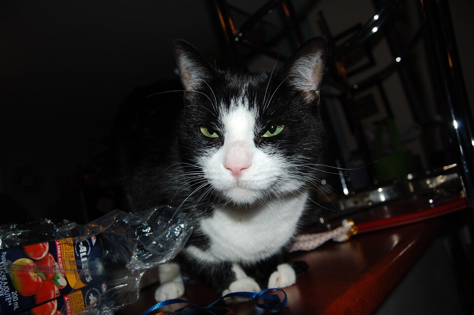DSC 0057