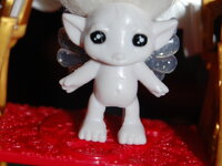 DSC 0037