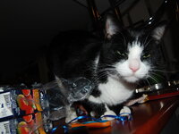 DSC 0055