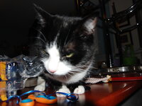 DSC 0058