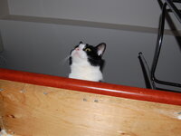 DSC 0063