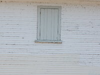 DSC 0102