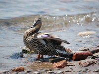 DSC 0104