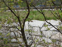 DSC 0138