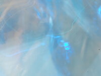 DSC 10003