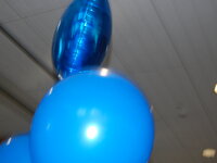 DSC 10021