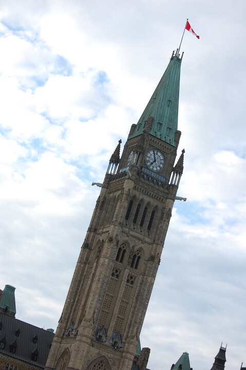 DSC 10174