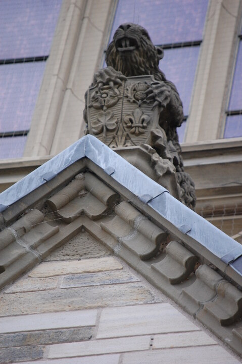 DSC 10185