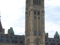 DSC 10173