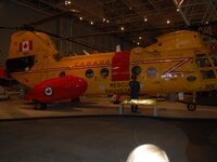 DSC 10289