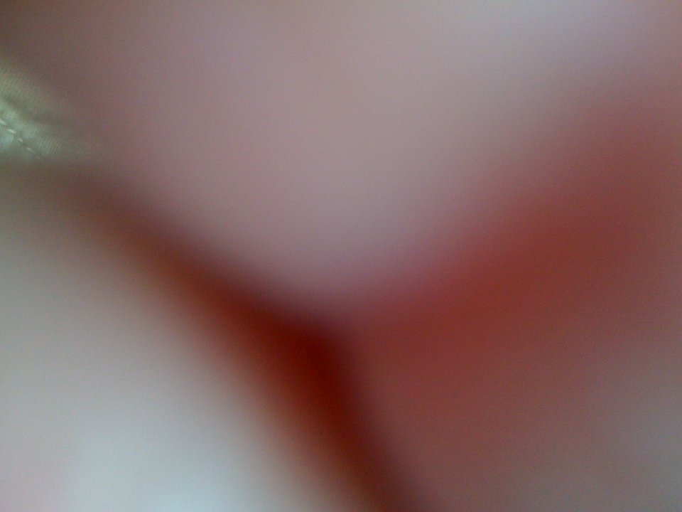 PH 0233